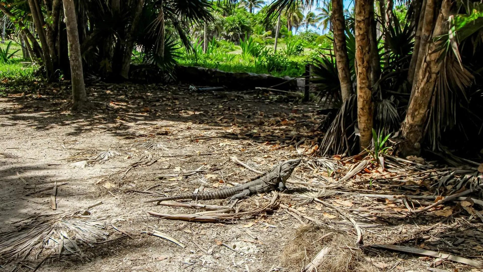 Tao Edena, Unit 26 Villa Tulum Holiday home